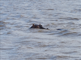 Hluhluwe River